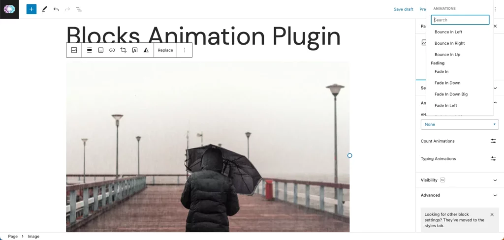 Blocks Animation Plugin Screenshot